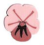 Small Pink Pansy